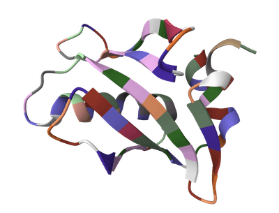 Amino Acid Composition Calculator ProteinIQ