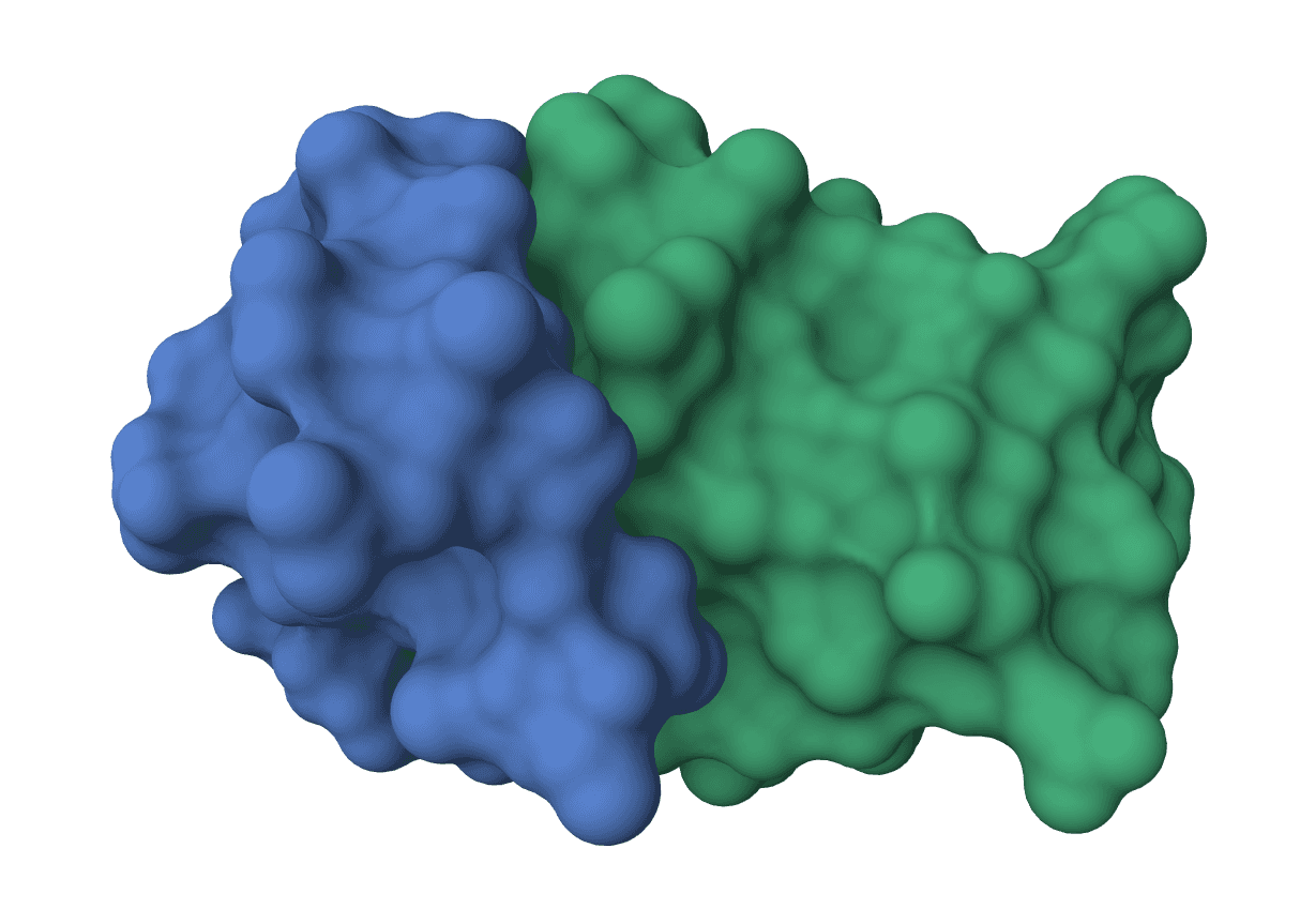 BoltzGen example image