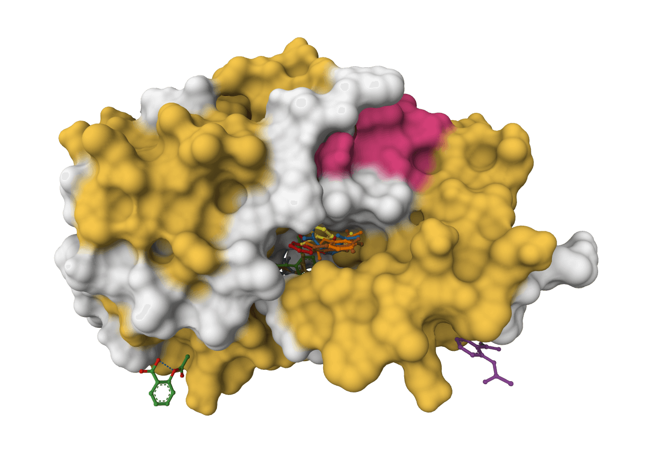 DiffDock-L example image