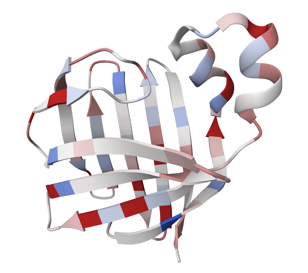 PDB to FASTA converter example image