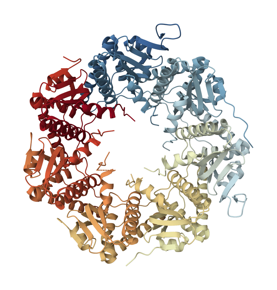 ProteinMPNN example image