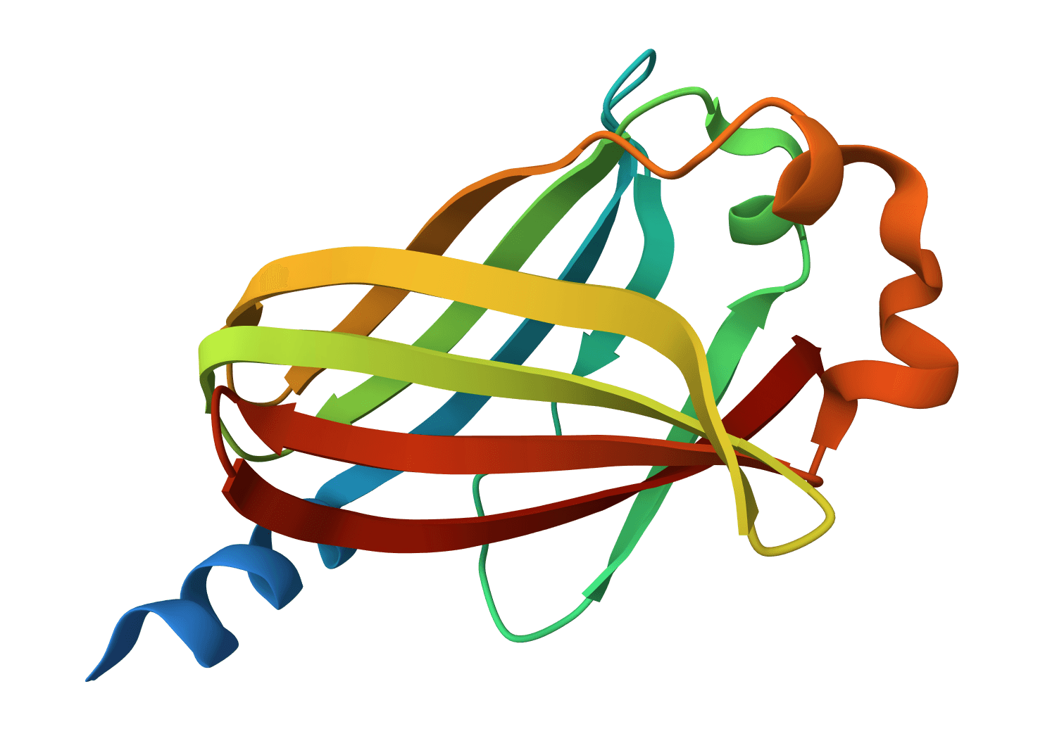 TXT to FASTA converter example image