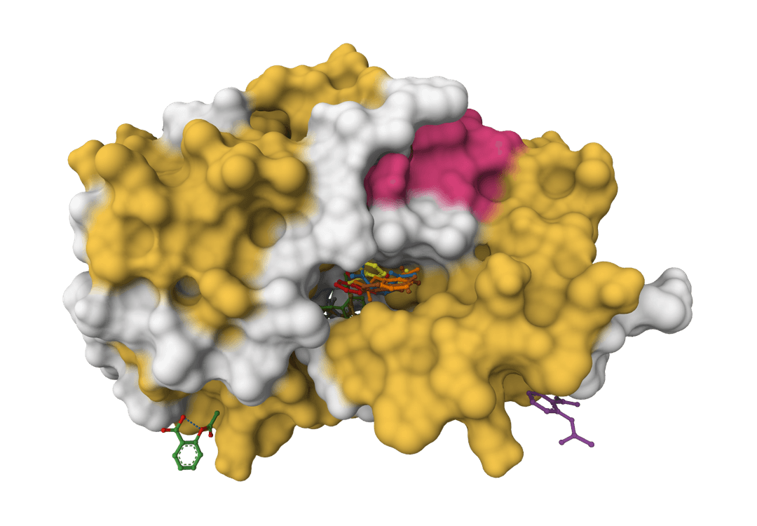 Use DiffDock online | ProteinIQ