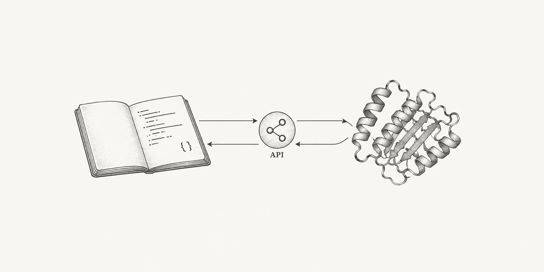 Ink illustration of a code notebook exchanging requests and protein results through an API.