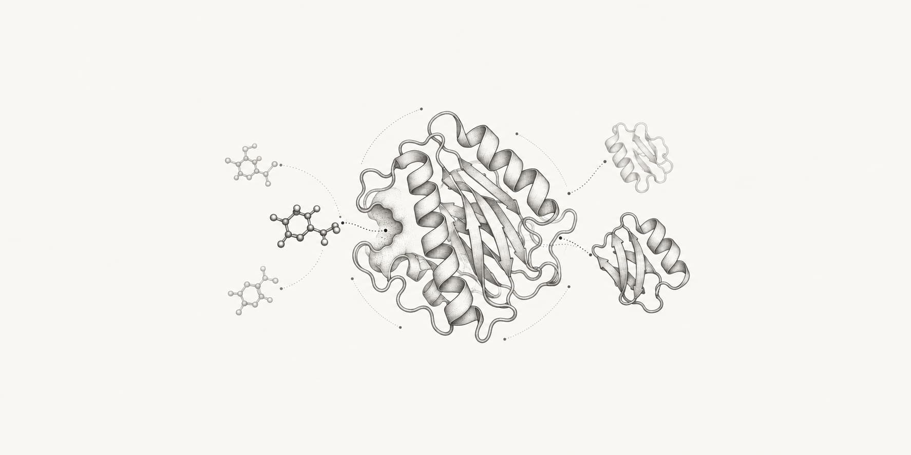 Ink illustration of a target protein with small-molecule candidates docking into its pocket on one side and designed protein binders on the other.
