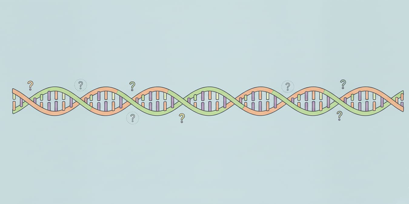 How long is DNA? 7 DNA stats and facts