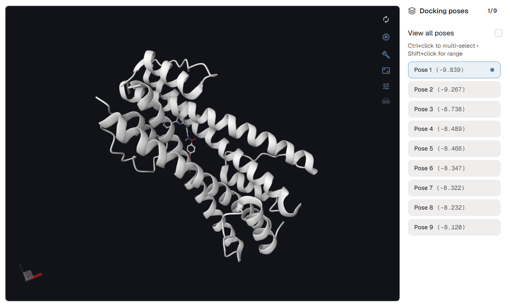 Same AutoDock Vina results