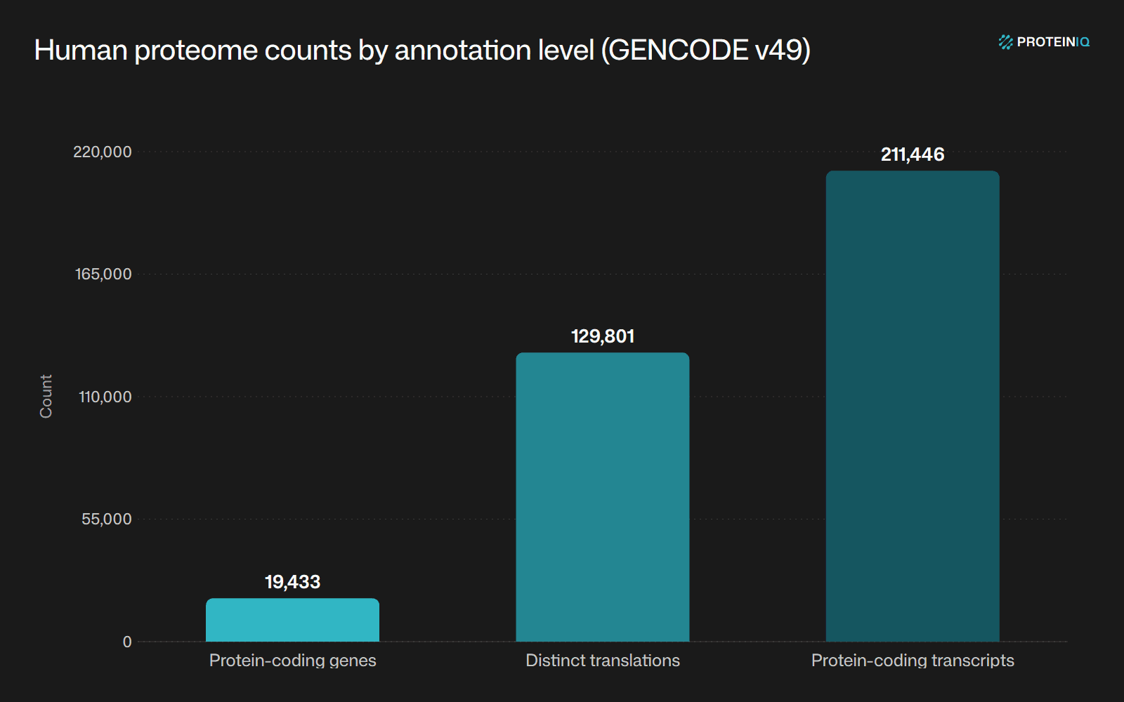 Human proteome counts by annotation level in GENCODE v49: 19,433 protein-coding genes, 129,801 distinct translations, and 211,446 protein-coding transcripts