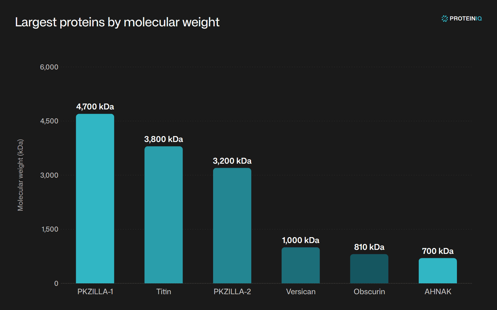 Largest proteins by molecular weight