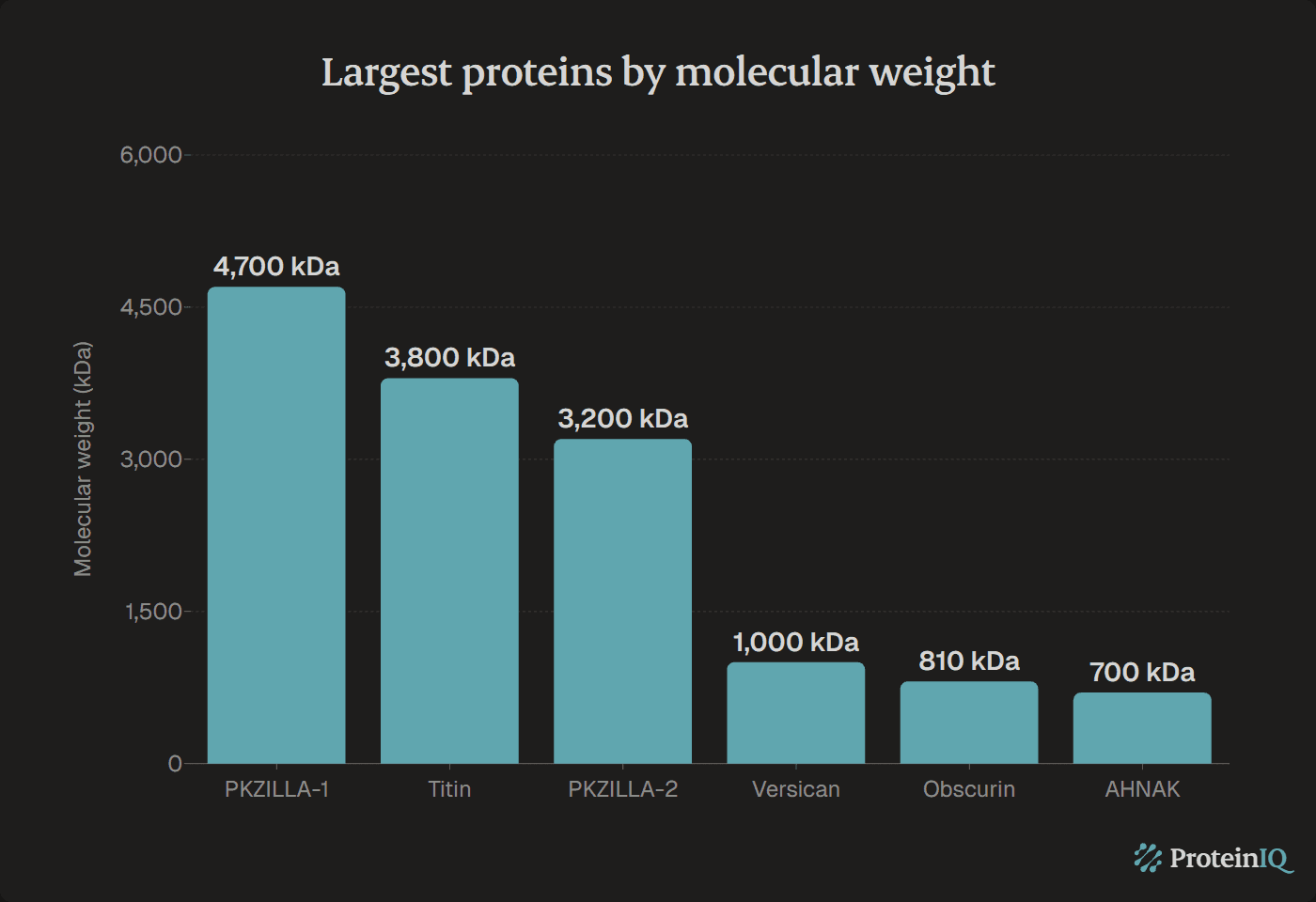 Largest proteins by molecular weight