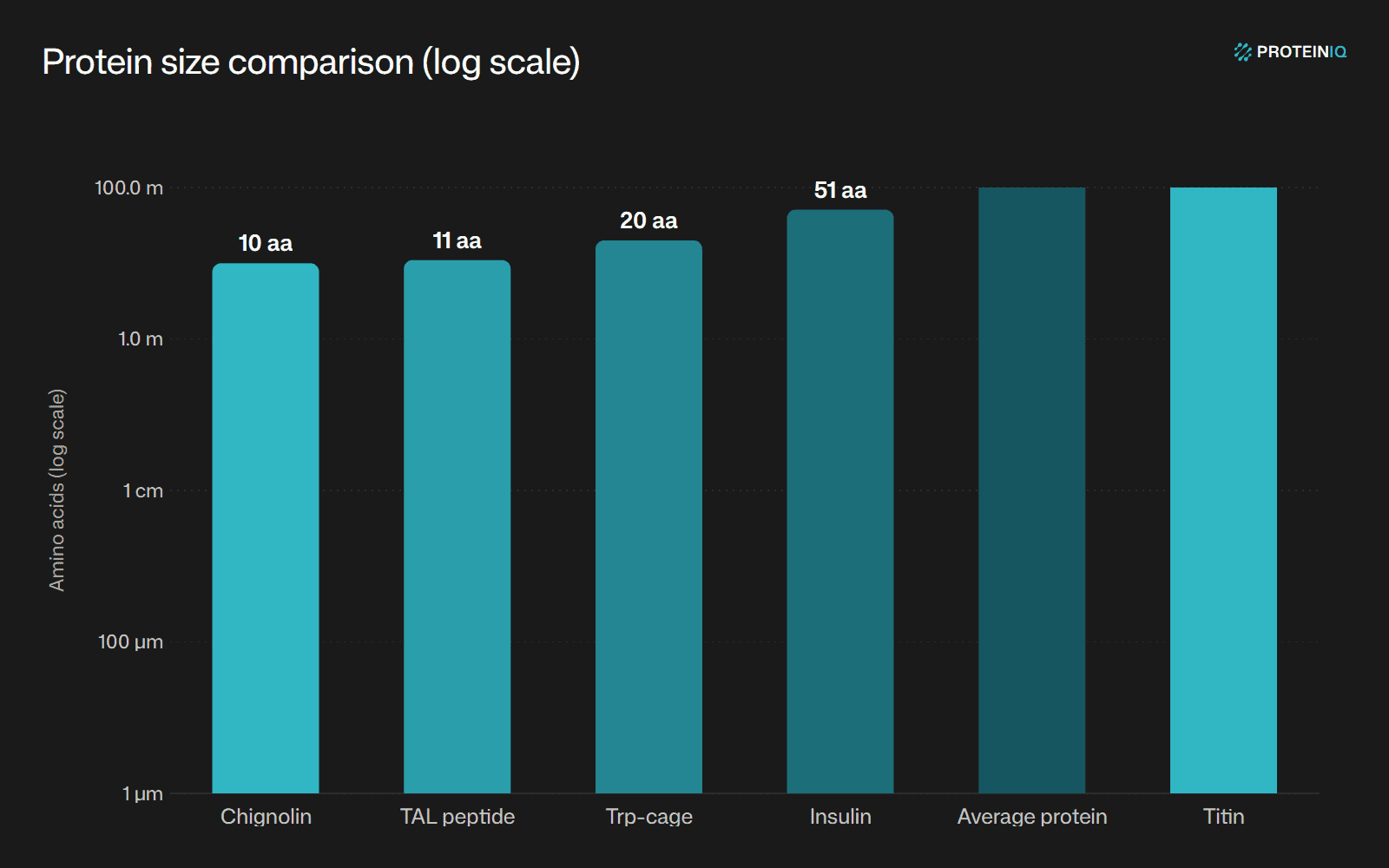Protein size comparison
