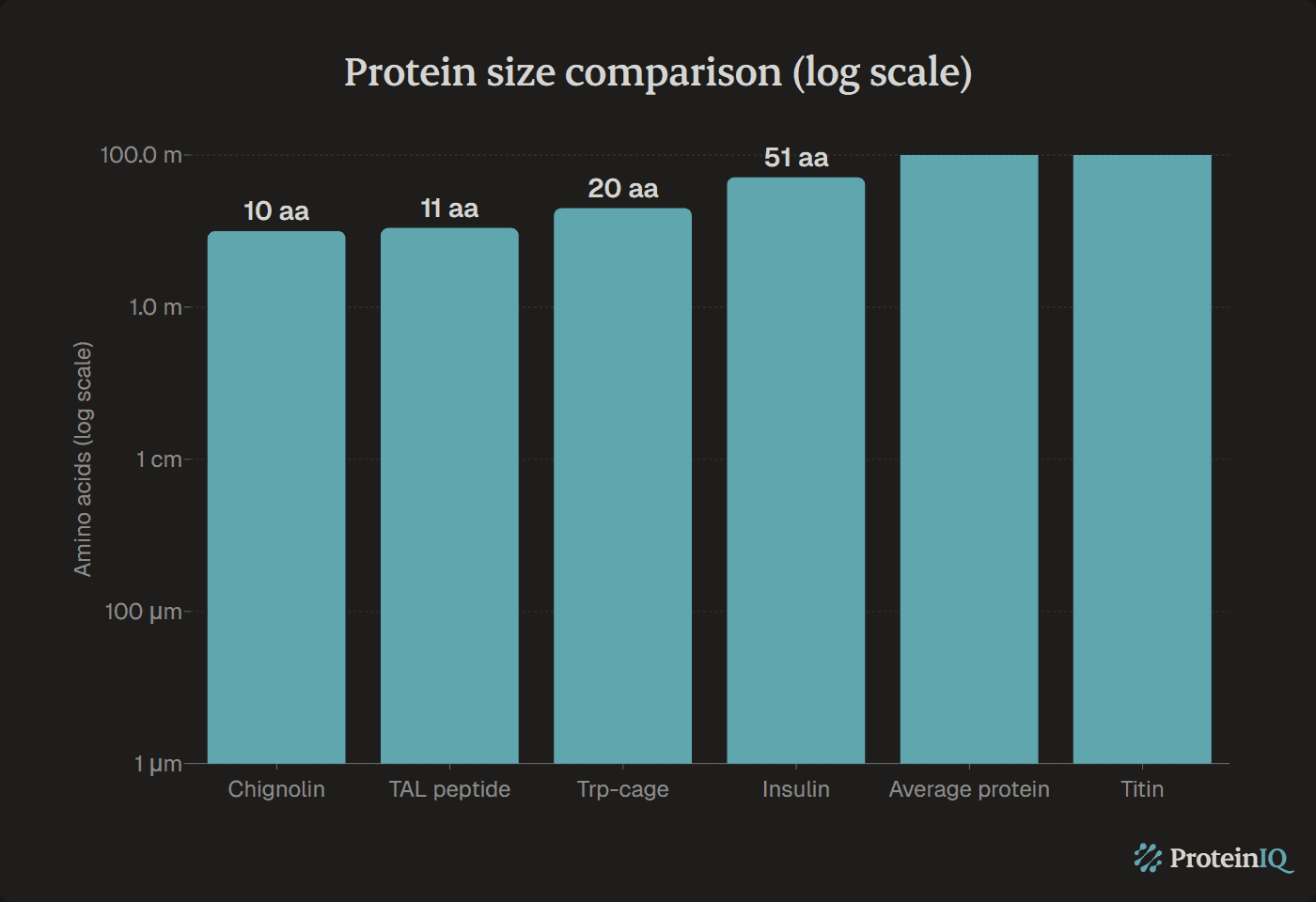 Protein size comparison