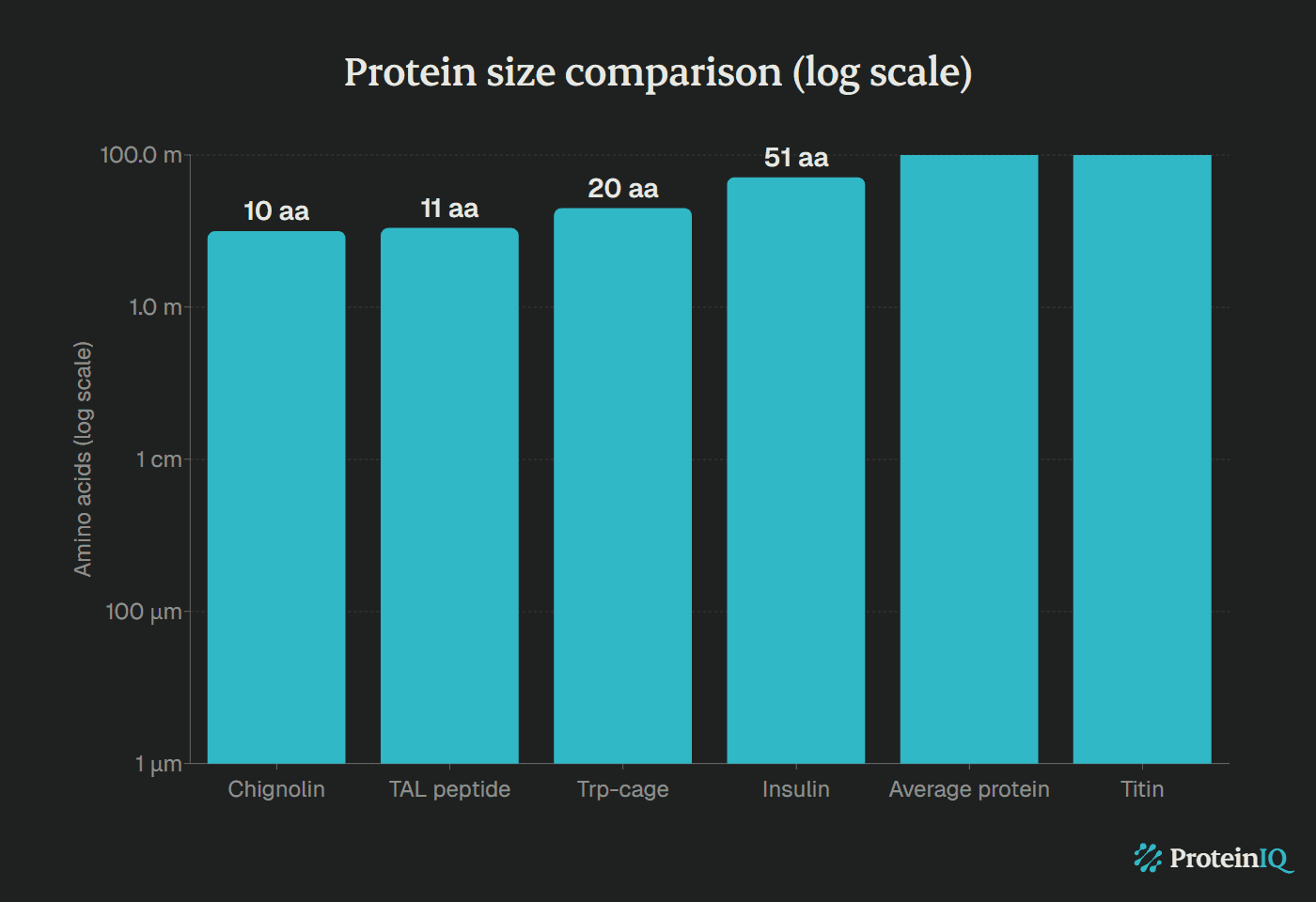 Protein size comparison