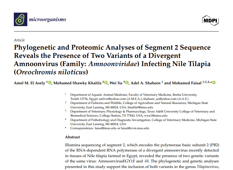 Tilapia amnoonvirus PB2 proteins validated with MolProbity