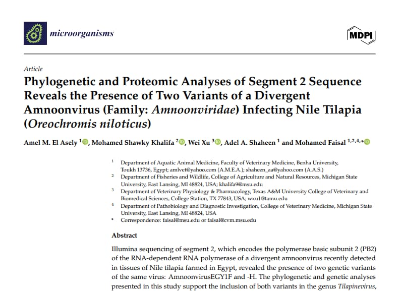 Tilapia amnoonvirus PB2 proteins validated with MolProbity