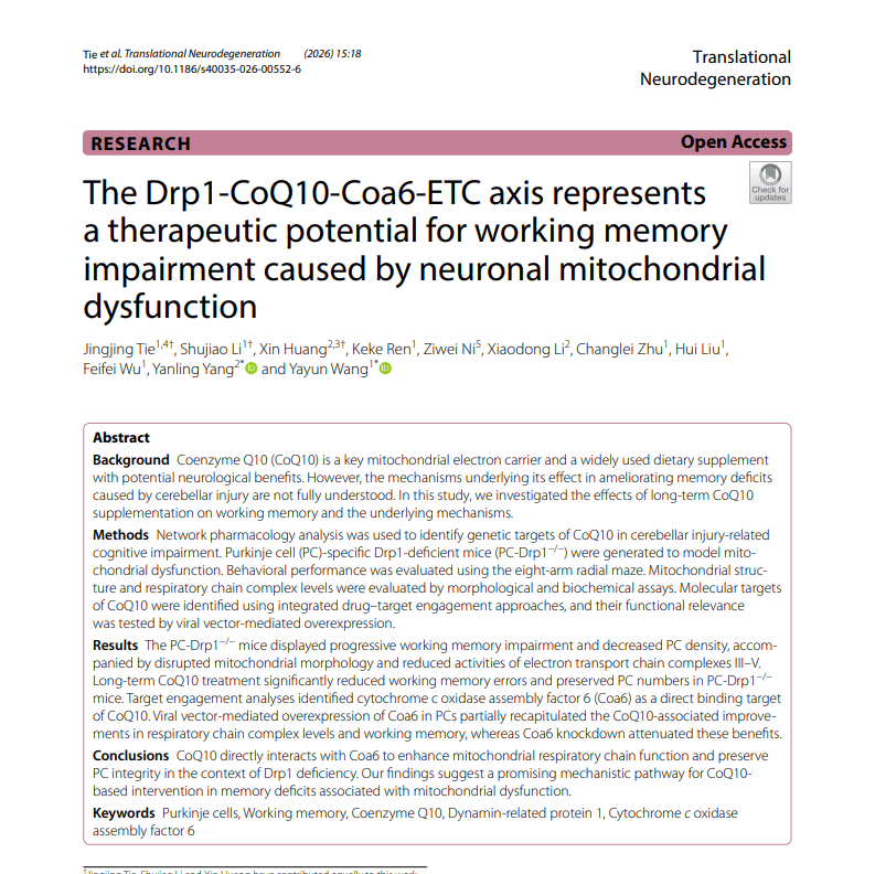 Research preview from Jingjing Tie et al.