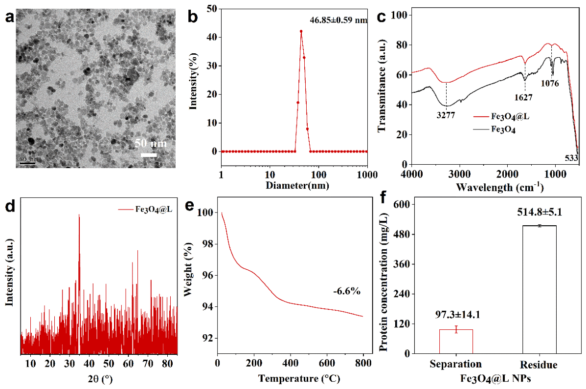 Research preview from Zong-Nan Li et al.