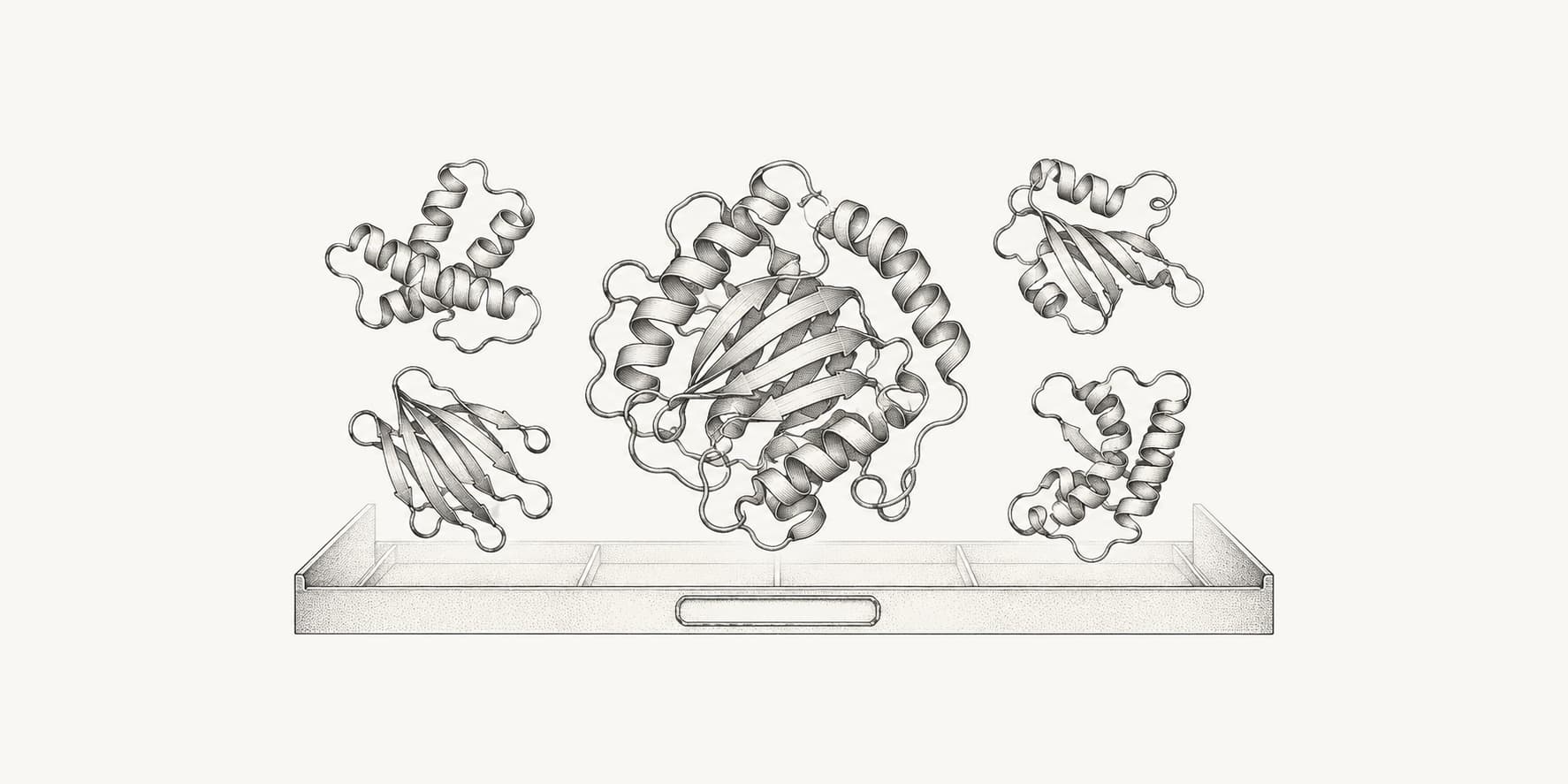 Engraved protein folds illustrating a collection of predicted structures.