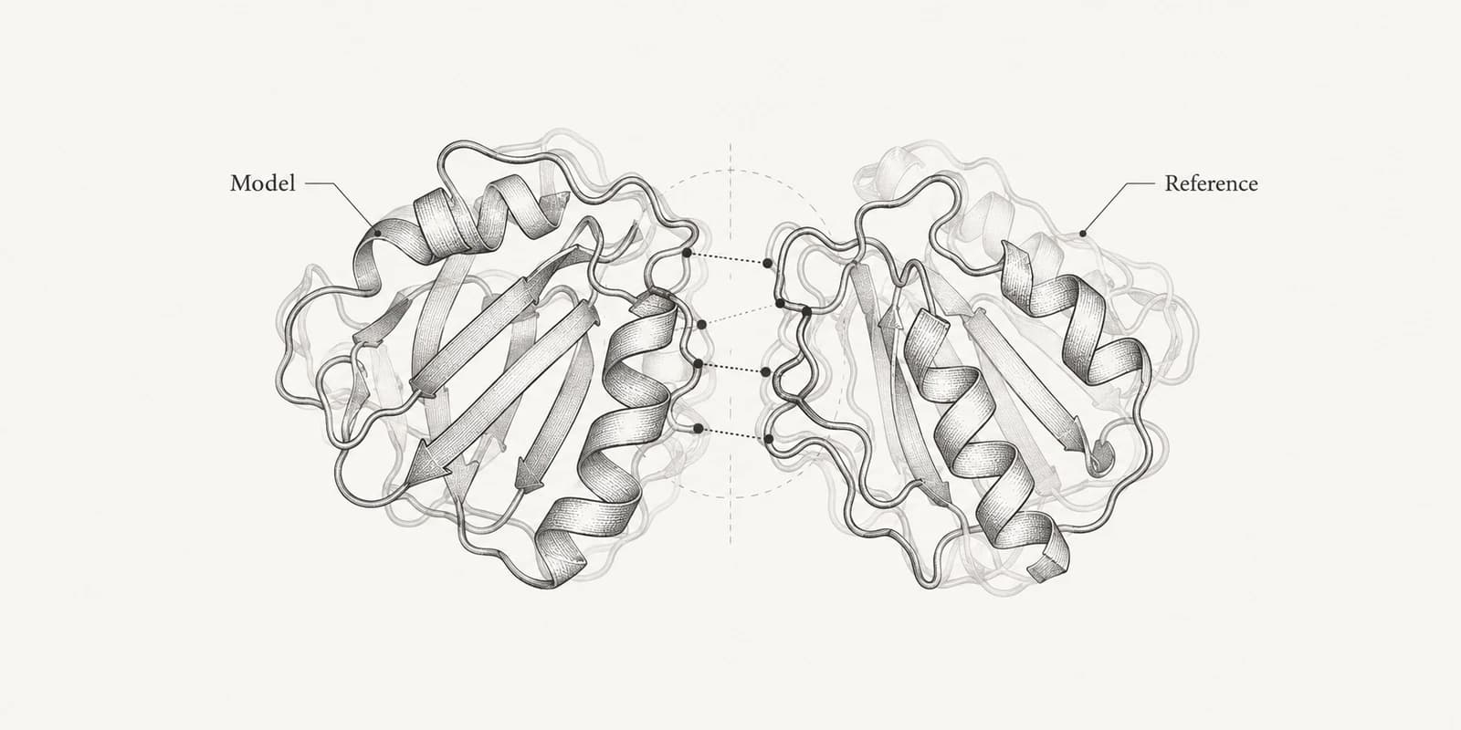 Model and reference protein complexes overlaid for comparison of their interface.