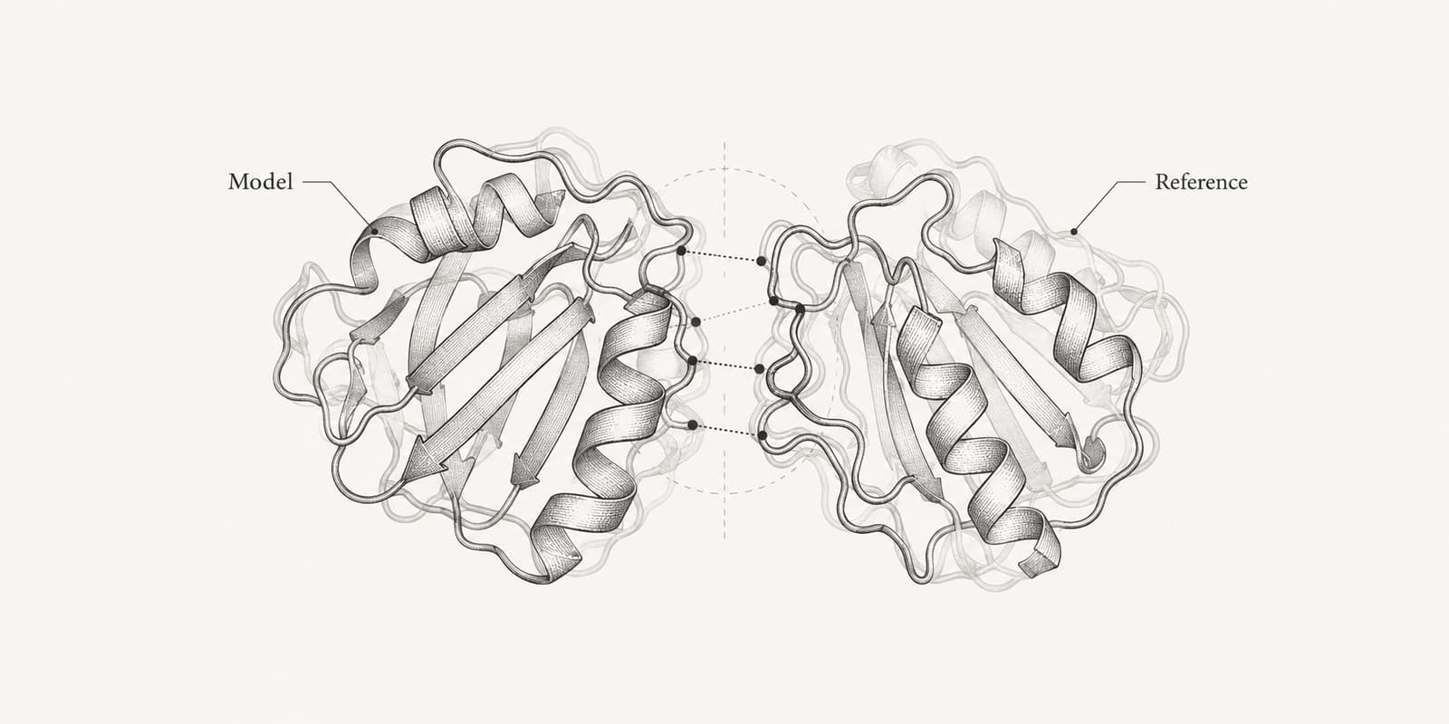 Model and reference protein complexes overlaid for comparison of their interface.