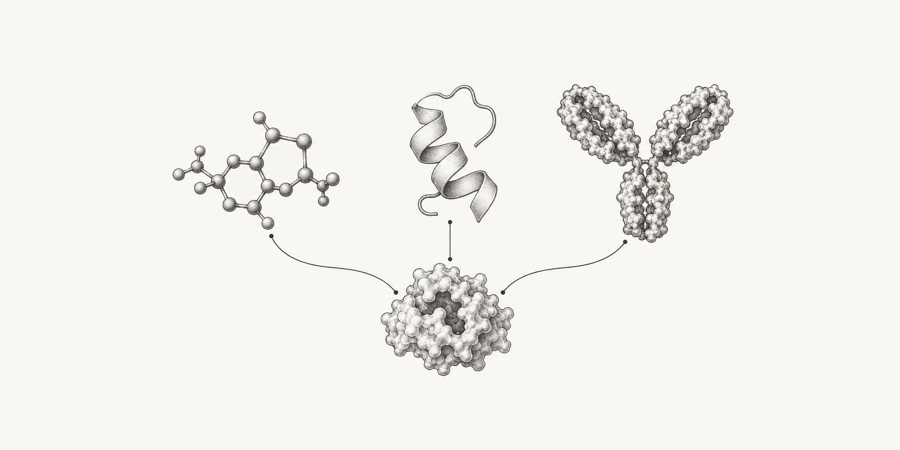 Ink illustration of small molecules, a peptide, and an antibody representing different drug discovery approaches.