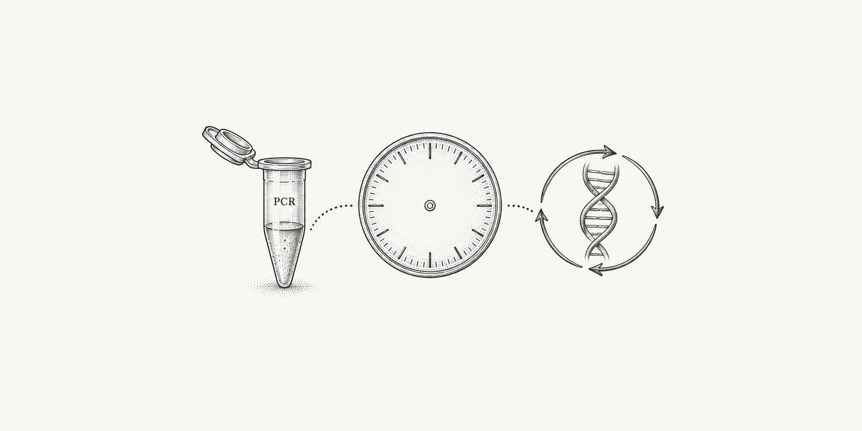 PCR tube, clock, and DNA within a cycle arrow representing amplification time.