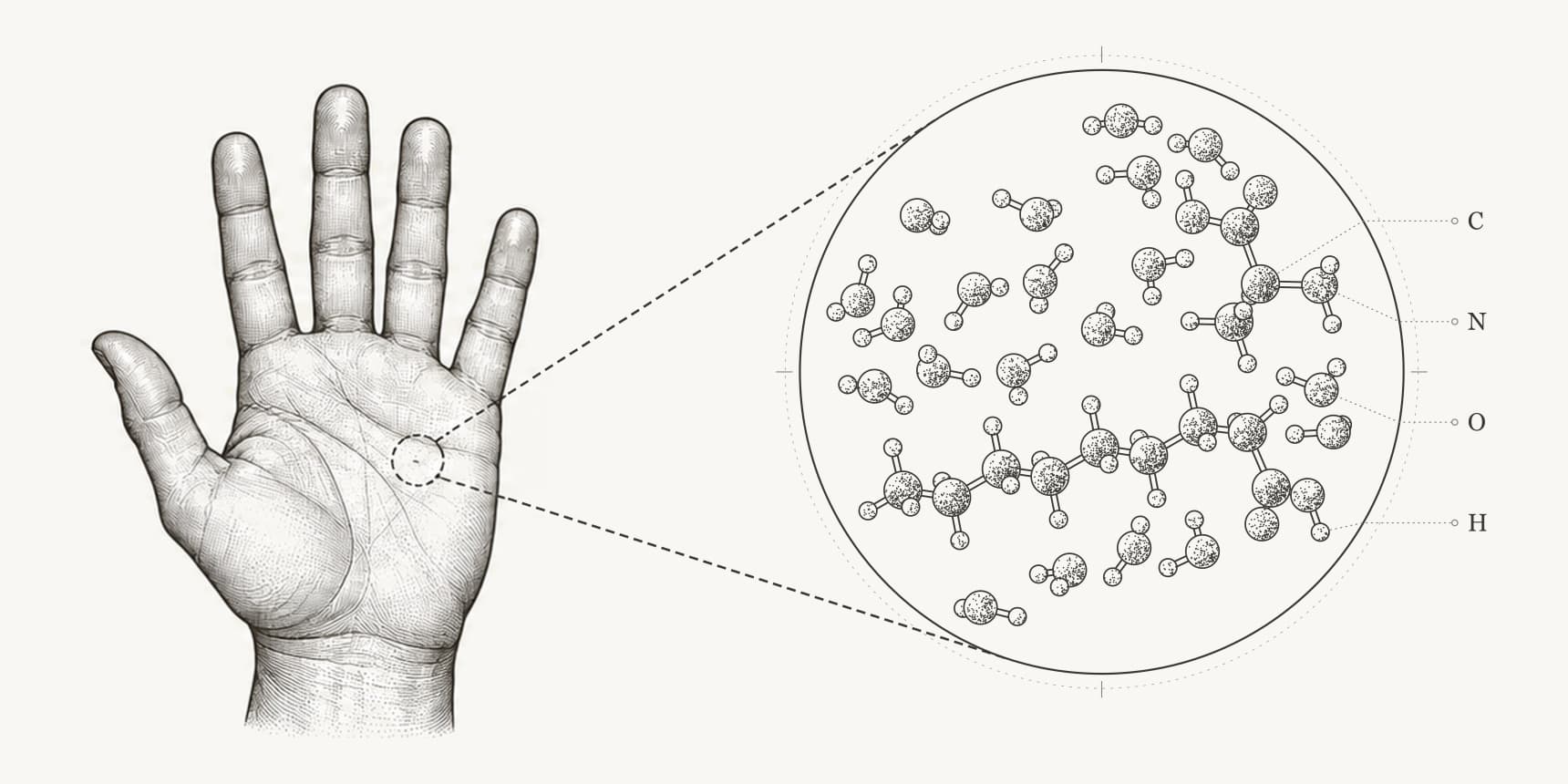 Ink illustration of a human hand with a magnified view of atoms that make up body tissues.