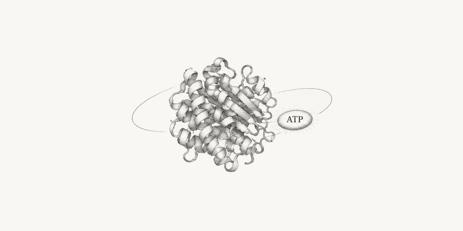 Folded enzyme and ATP symbol representing energy production during glycolysis.