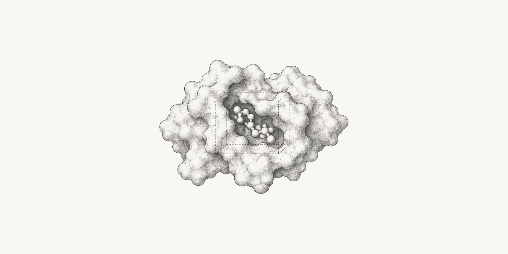 Small ligand positioned in a protein binding pocket within a docking search box.