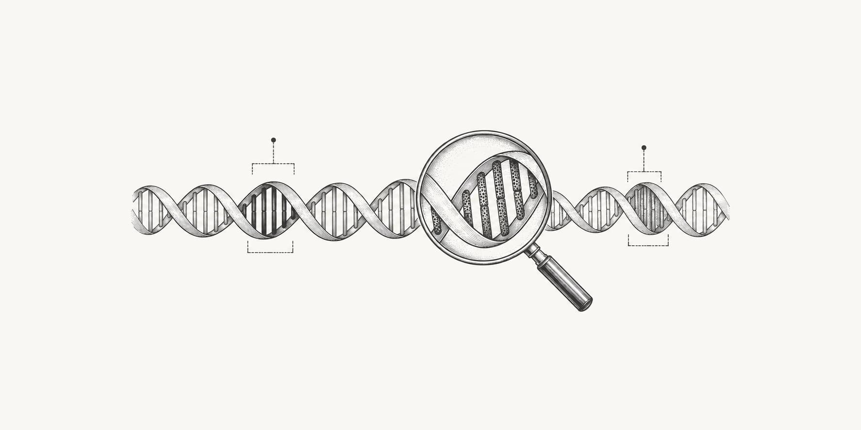 Ink illustration of a DNA strand with selected regions under examination.