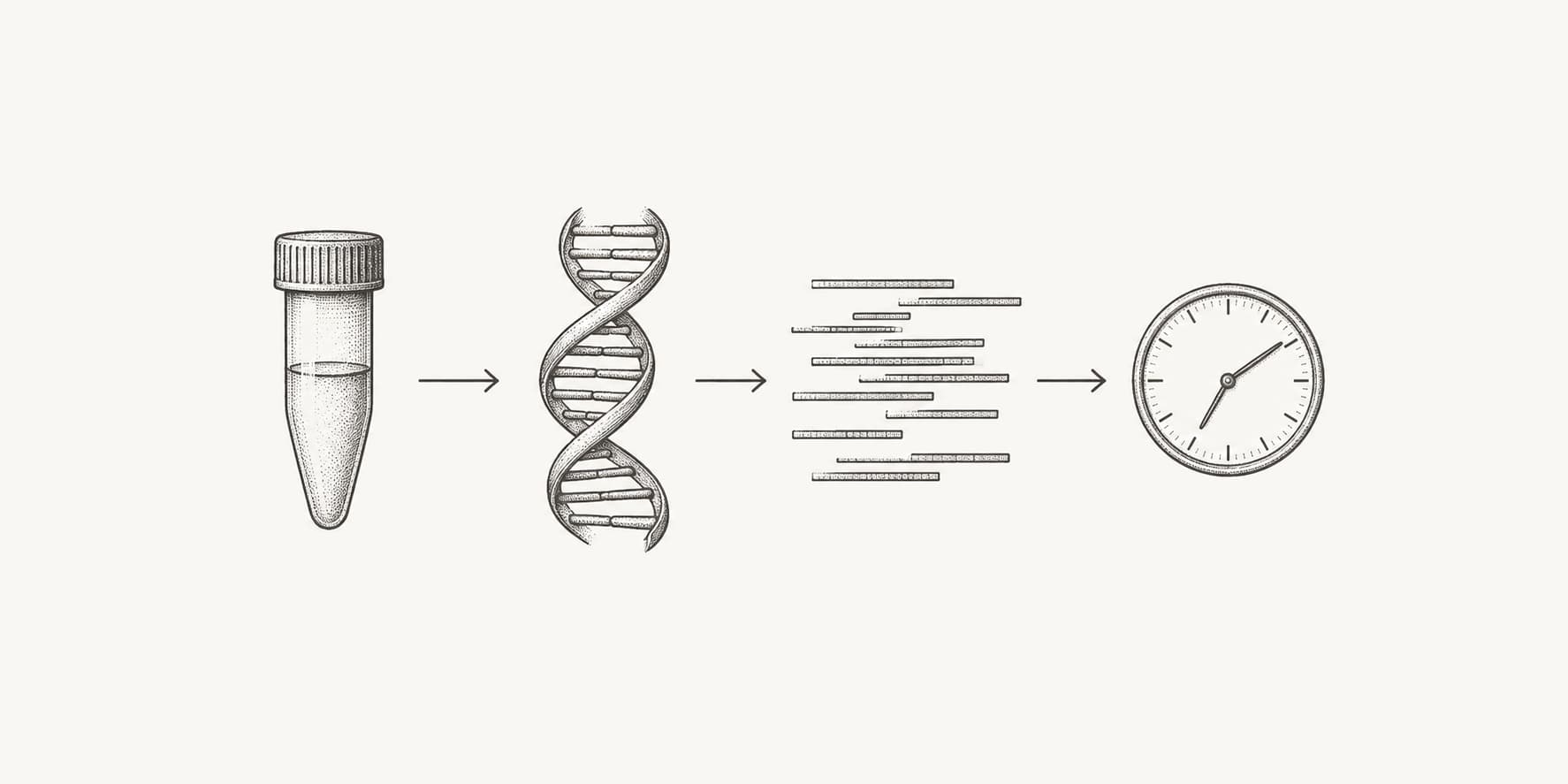 Ink illustration of a sample tube, DNA, sequence reads, and a clock representing sequencing turnaround.
