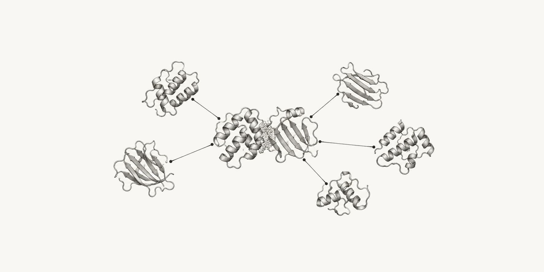 Ink illustration of folded proteins linked in a conceptual protein interaction network.