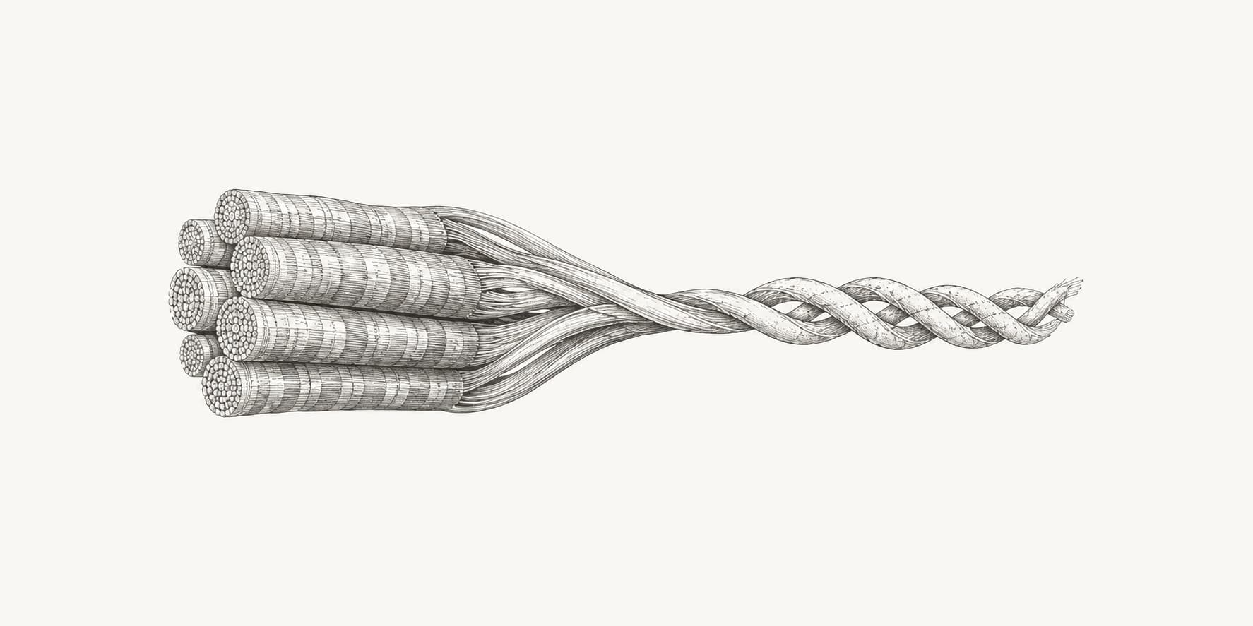 Ink illustration of collagen fibrils and an enlarged triple-helical collagen strand.