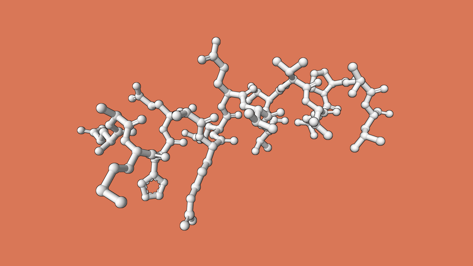 What's the most common amino acid?