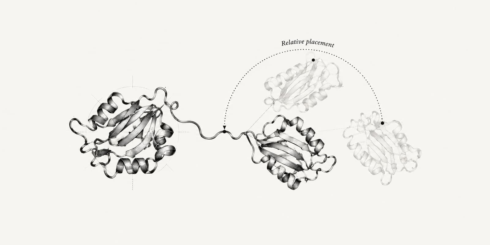 Two folded protein domains joined by a linker, with ghost outlines showing uncertain relative placement.