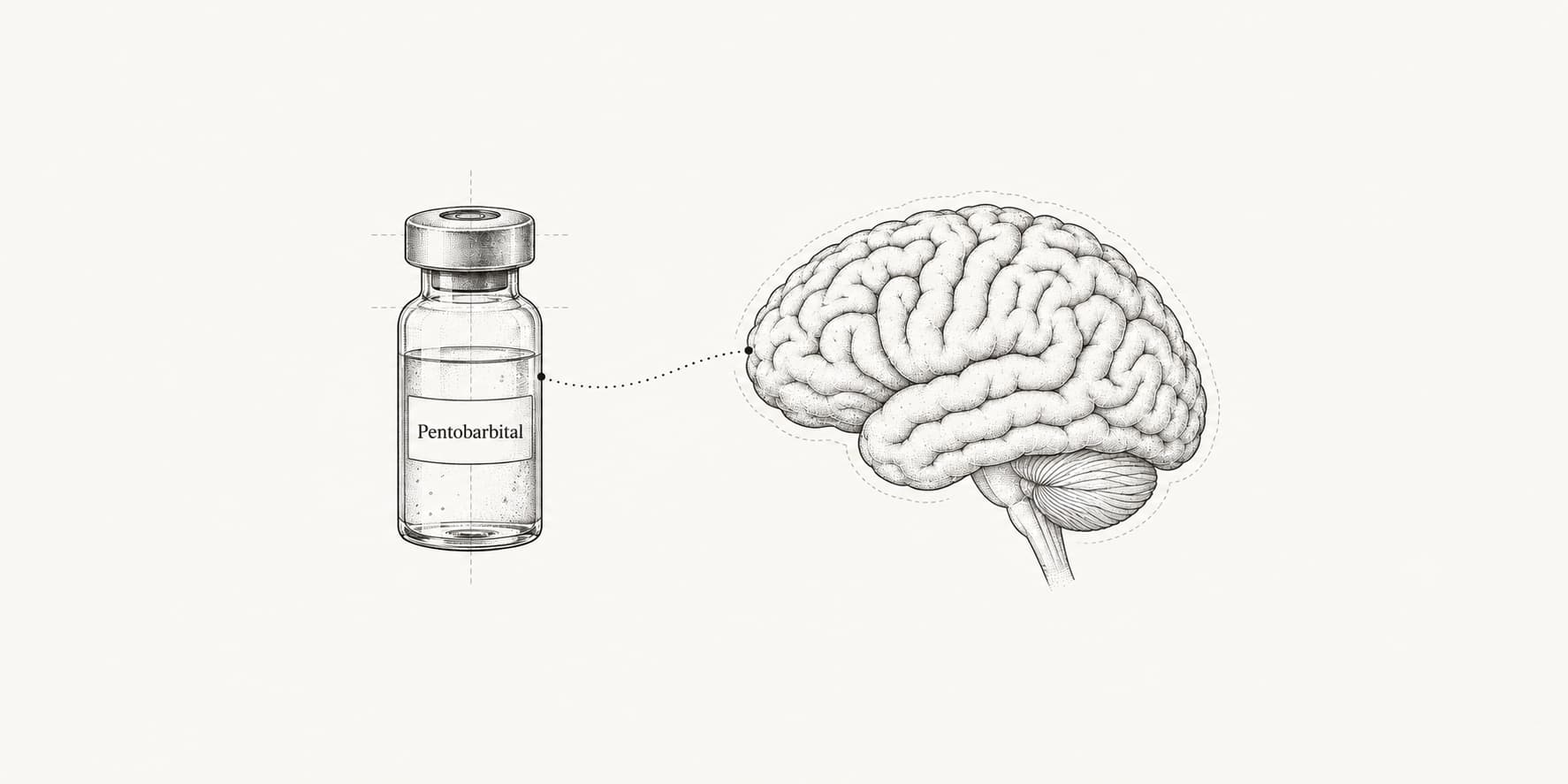 Ink illustration of a pentobarbital vial connected by a dotted line to a human brain.