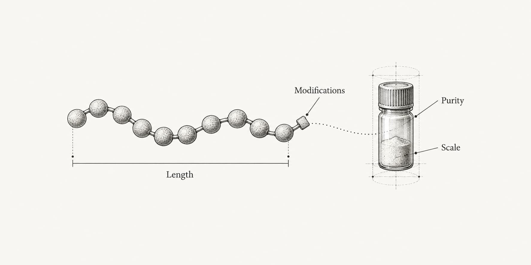 Illustrated peptide chain and sample vial with labels for length, purity, scale and modifications.