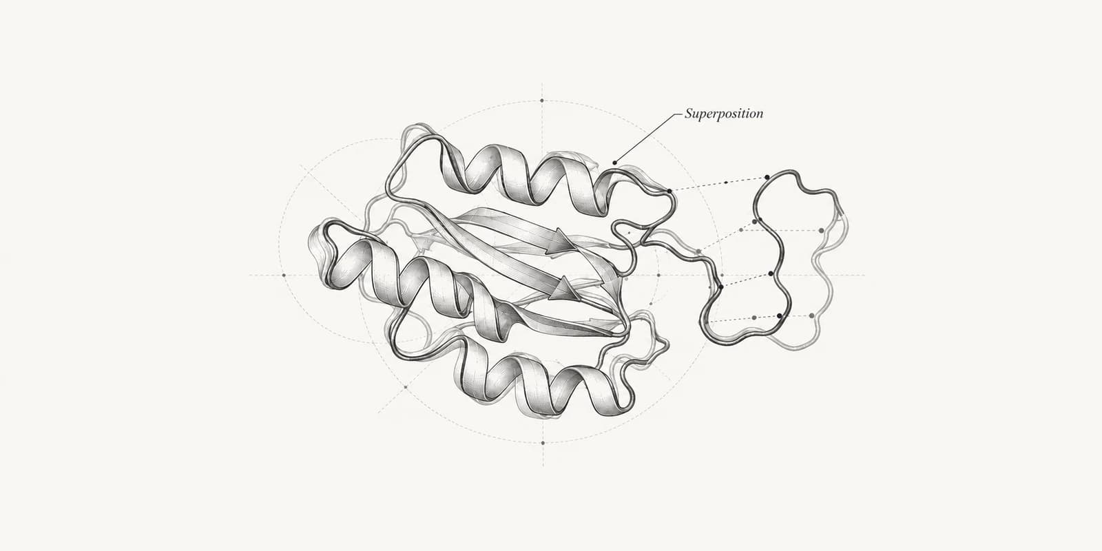 Superimposed protein folds with dotted connectors showing differences at corresponding positions.