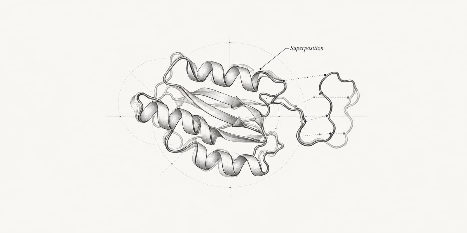 Superimposed protein folds with dotted connectors showing differences at corresponding positions.