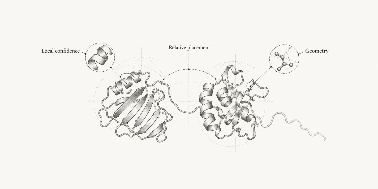 Protein model with callouts for local confidence, relative domain placement and atomic geometry.