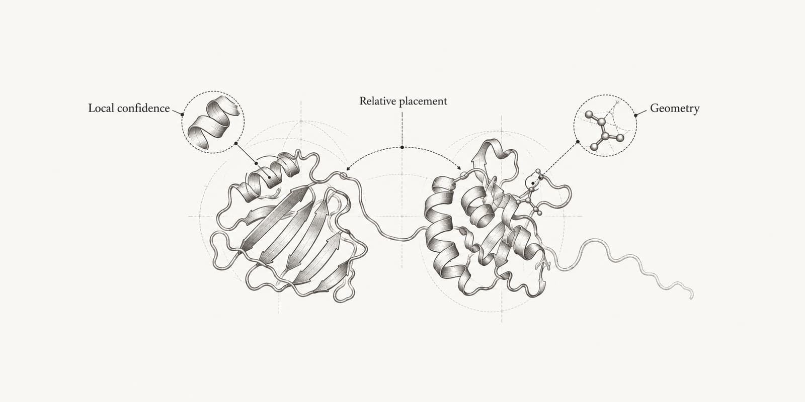 Protein model with callouts for local confidence, relative domain placement and atomic geometry.