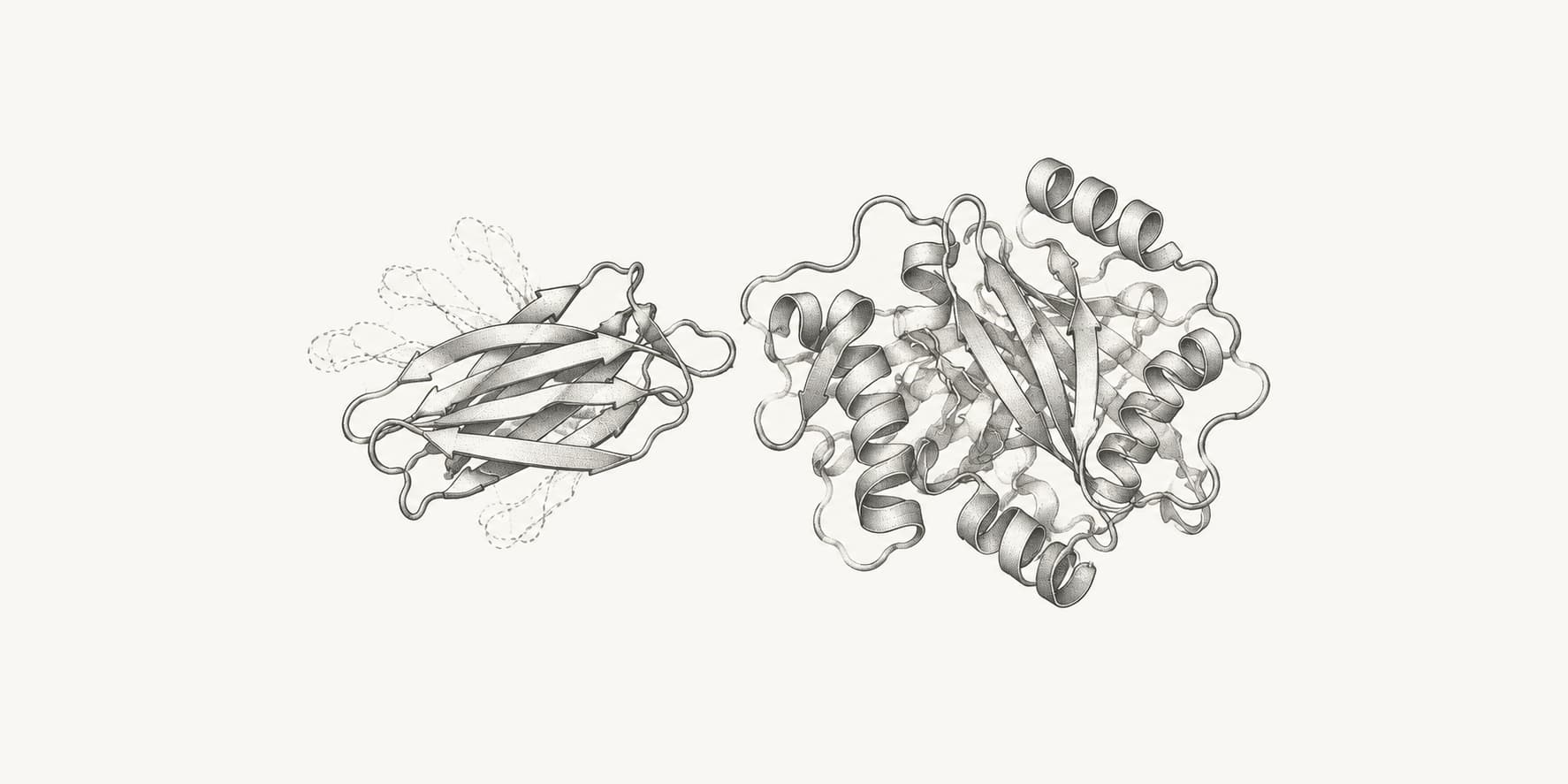 Ink illustration of a designed antibody domain approaching a target protein.