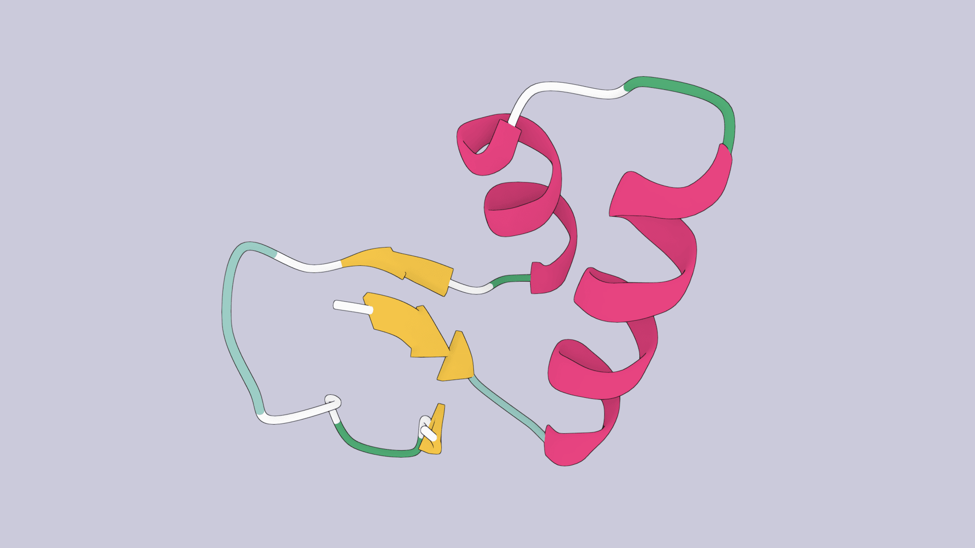 What is protein folding & how it works