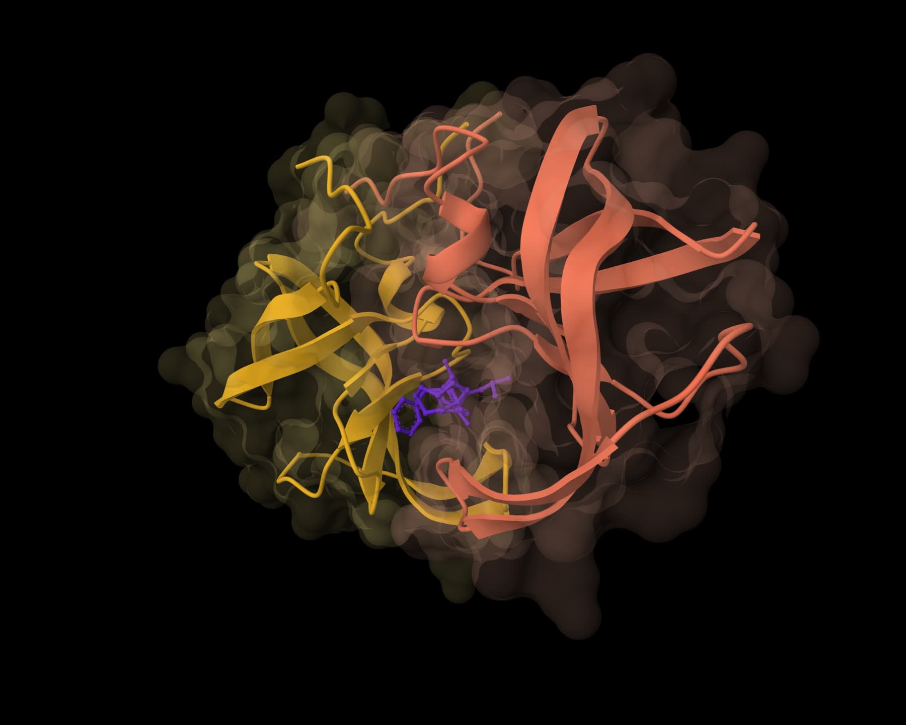 HIV-1 protease with darunavir, a Chai-1 result on ProteinIQ