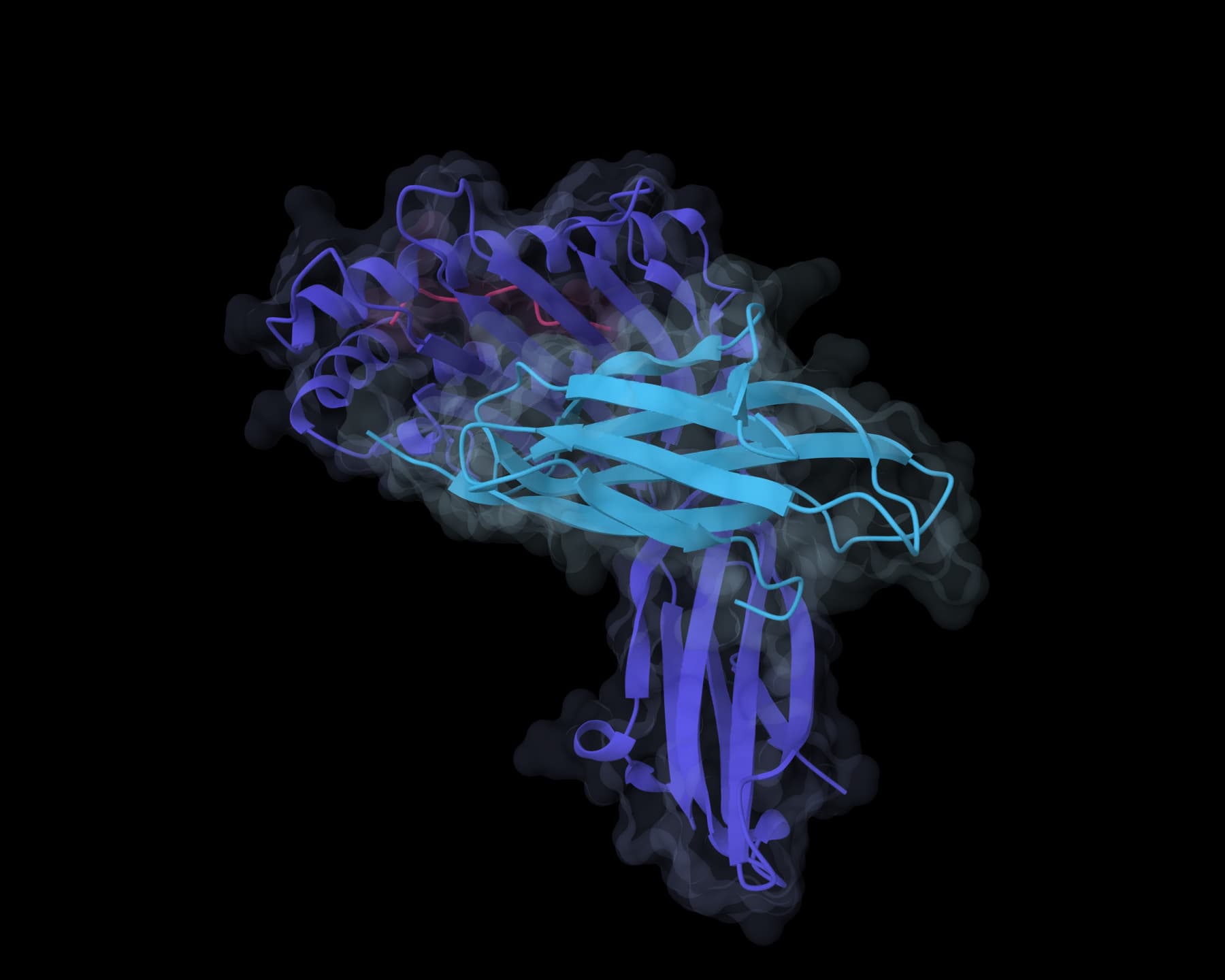 HLA-A2 with Tel1p peptide, a Boltz-2 result on ProteinIQ