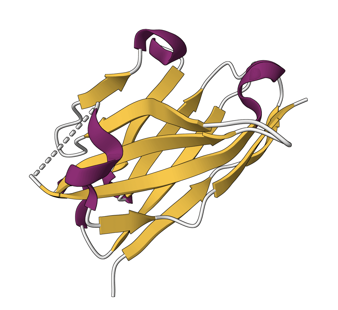 AbLang-2 icon