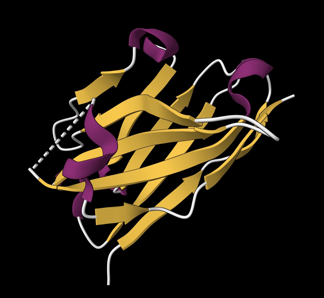 AbLang-2 icon