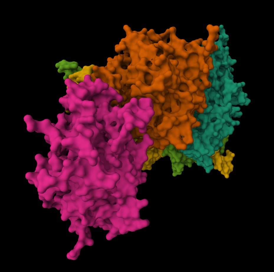 AF2BIND