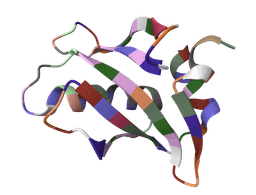 Amino acid composition