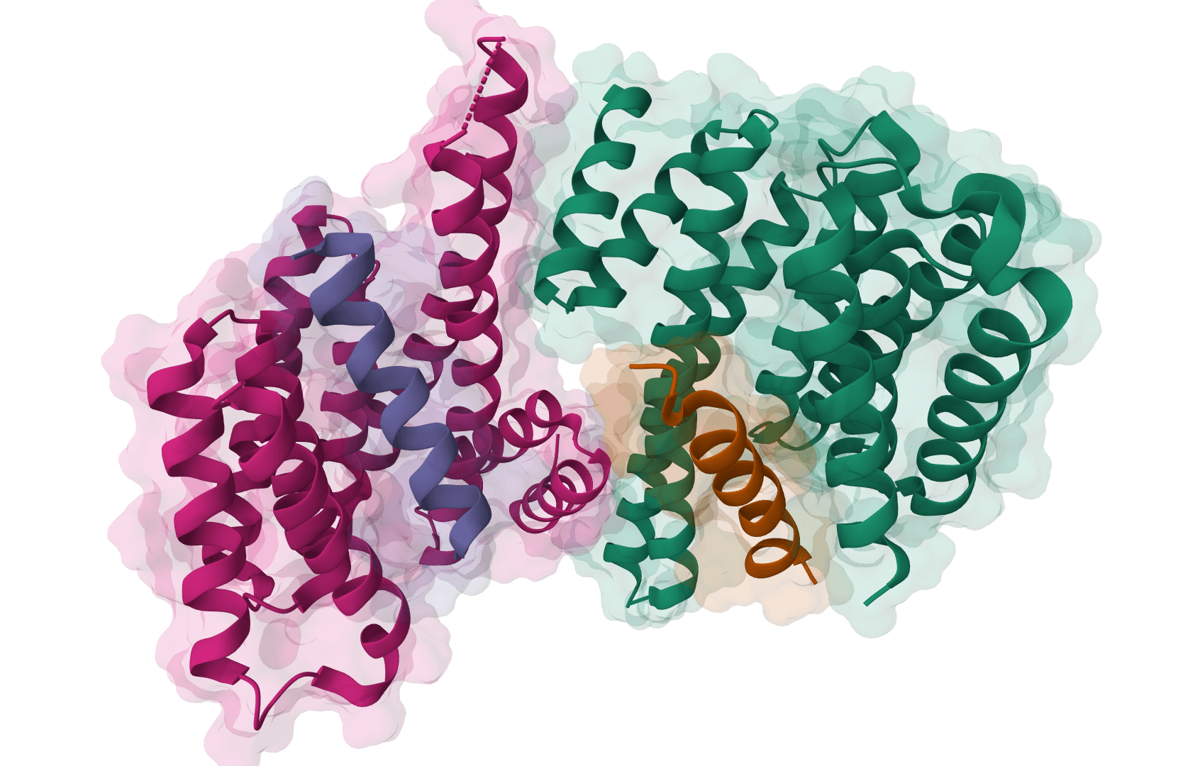 BindCraft example image